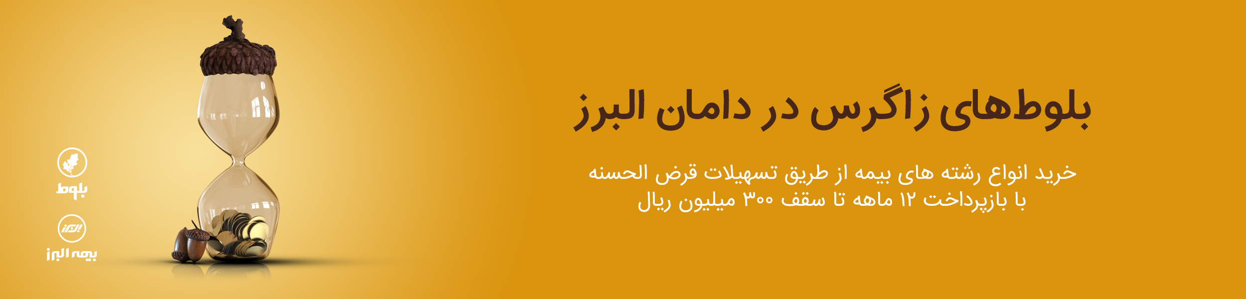 طرح بلوط